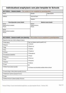 Individual anaphylaxis care plan template